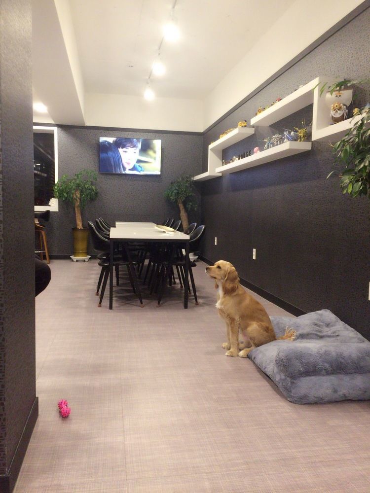 Mozzihostel Busan Station Dış mekan fotoğraf
